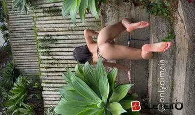 Violações Escaldantes no Quintal de Dimaia